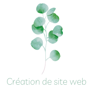 Création de site Web assistance création